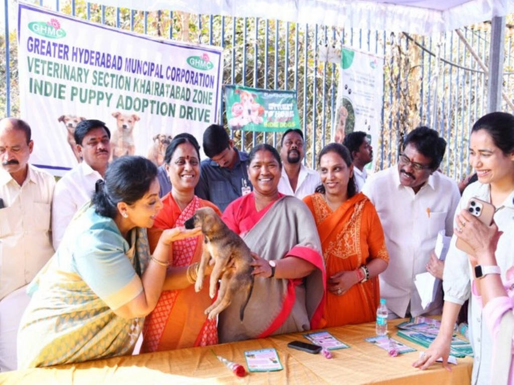 Why 'Adopt, Don't Shop' Stalls on Social Media: Building Digital Infrastructure for Animal Adoption